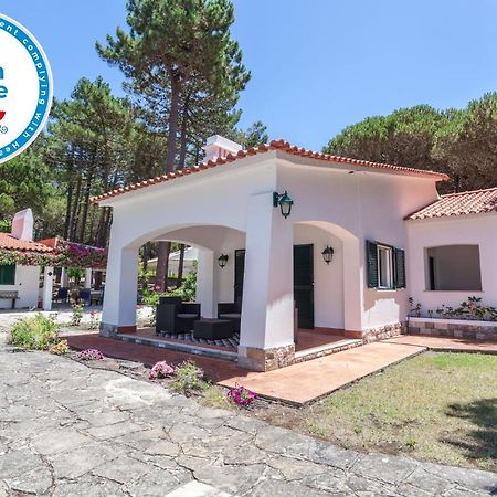 הוילה קולארס Ocean, Pines And Mountain - Renovated February 2025 - Ac מראה חיצוני תמונה