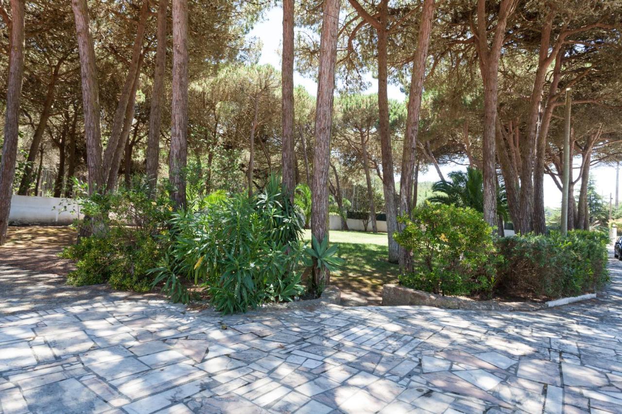 הוילה קולארס Ocean, Pines And Mountain - Renovated February 2025 - Ac מראה חיצוני תמונה