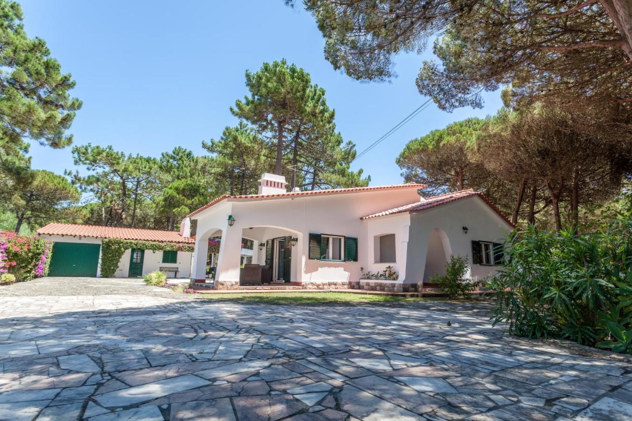 הוילה קולארס Ocean, Pines And Mountain - Renovated February 2025 - Ac מראה חיצוני תמונה