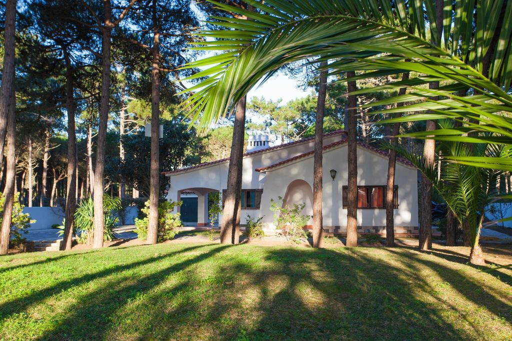 הוילה קולארס Ocean, Pines And Mountain - Renovated February 2025 - Ac מראה חיצוני תמונה